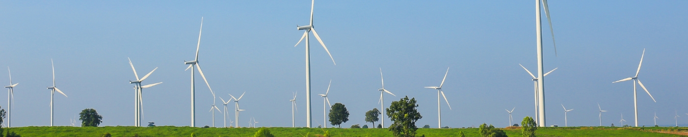 Wind turbines park Large green area with several wind turbines.